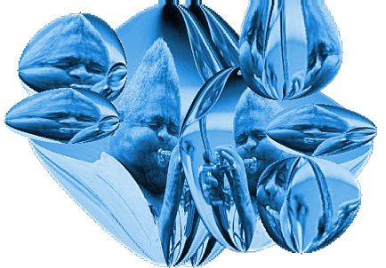 Abstrakte blaue Formen zwischen organischer Gestalt, Spiegelung und technisch erzeugter Klangfigur