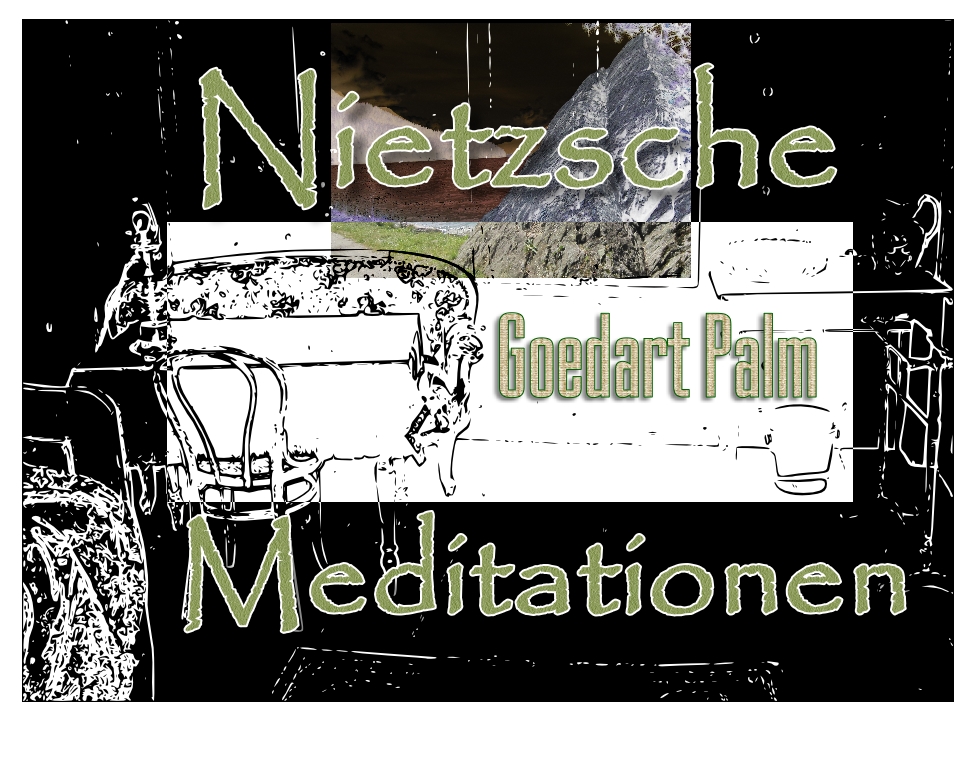 Nietzsche Meditationen Goedart Palm